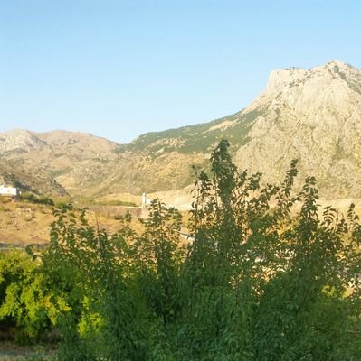 Murat75452465's profile picture. 