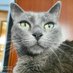 sonia (@cheleraa) Twitter profile photo sonia (@cheleraa) Twitter profile photo