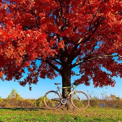 DC Bikes 🚲 DC Beers🍻 DC Bites 🍔 DC Sights 🌇 Safety first 🥽😷🦺 #bikedc
Join our WhatsApp group from the link below.