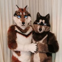 The Wolves From Outer Space (@the_moon_wolves) 's Twitter Profile