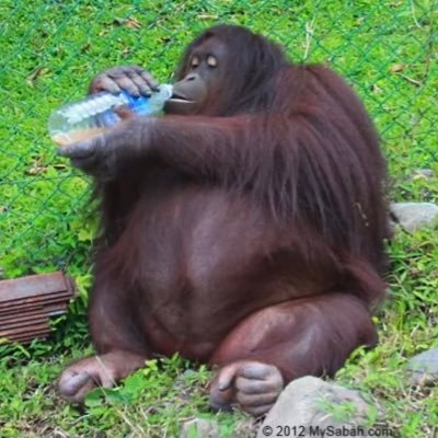 conor_mcgg Profile Picture