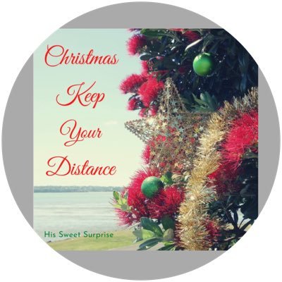 MyTweetSurprise's profile picture. Songwriter and recording artist among other things @paulgogarty. Vegan. Catchy #christmaskeepyourdistance out now and remixes of 1st album also uploaded.