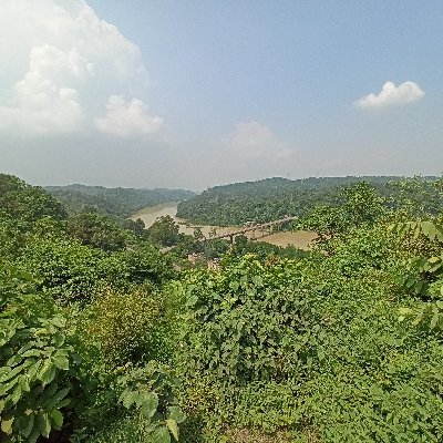 Ankitku2598's profile picture. Not so serious