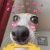 jonathan (@jonatha19316728) Twitter profile photo jonathan (@jonatha19316728) Twitter profile photo