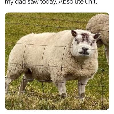 lornapo08469822's profile picture. 