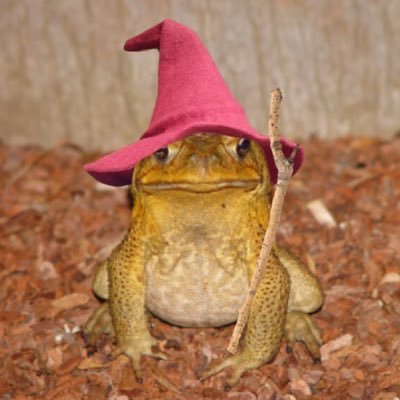 certified asexual toad | I play D&D instead of going to therapy