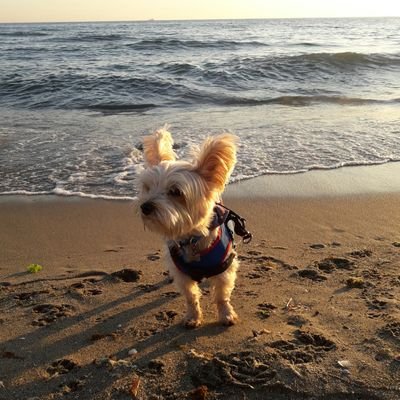 aresizim's profile picture. Ares'in Babası