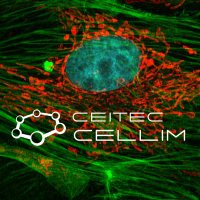 Cellular Imaging Core Facility - CEITEC (@ceitec_cellimcf) 's Twitter Profile Photo Cellular Imaging Core Facility - CEITEC (@ceitec_cellimcf) 's Twitter Profile Photo
