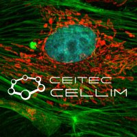 Cellular Imaging Core Facility - CEITEC(@Ceitec_CellimCF) 's Twitter Profileg