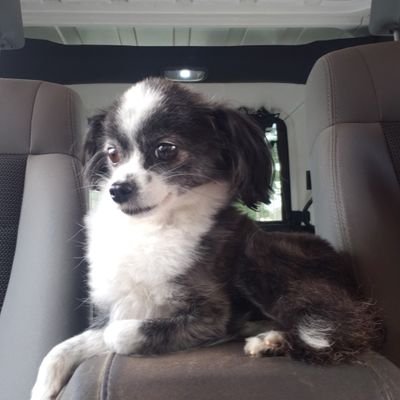 GPSMonitor2's profile picture. 