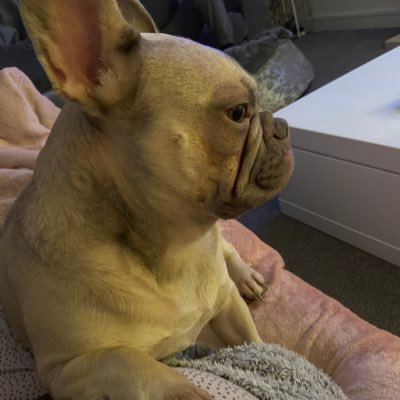 Profile Picture of Tasha R (@richards_tasha) on Twitter