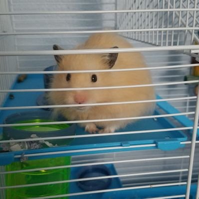 AustenCudmore's profile picture. Just trying to live my life | 18 | Music | I'm not that interesting.