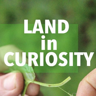 Walking projects to reconnect with curiosity, community & nature.
Towards social, ecological and land justice.