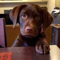 Tyrone (@tsbuckmiller) 's Twitter Profile