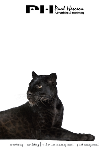 PHADVERTISING's profile picture. Custom SEO, Custom Web design, & Custom Printing Specializing In the Real Estate Industry