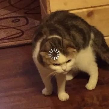 лерявch 🥀 | рисует и ноетさんのプロフィール画像