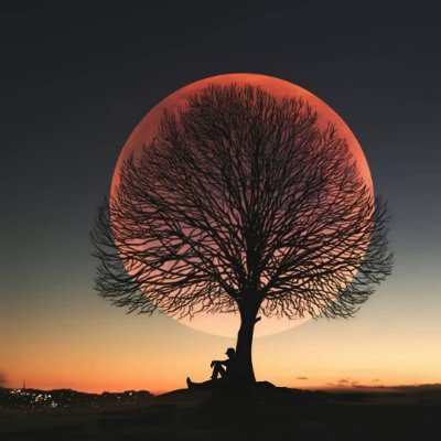 BookPocket1's profile picture. 
