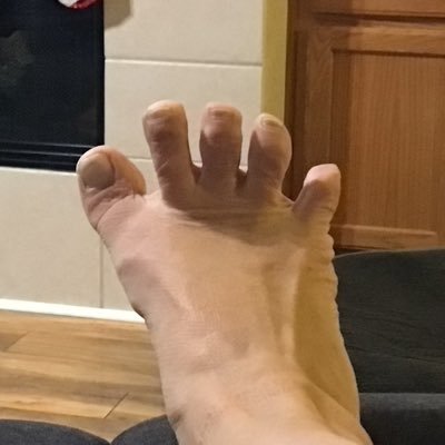 FredDee630's profile picture. 