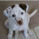 Becky Blank - @rojabonita - Twitter