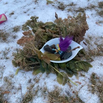 bee38_bee's profile picture. 