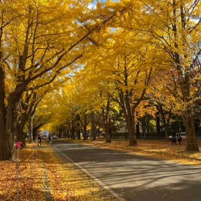 北海道の美味しいものだけ