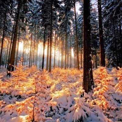 SweetMath1's profile picture. A teacher, making people to think, logically. Math is the soul of thinking, the skeleton of logic. It is sweet. If you don’t feel it that way, you’re misled.