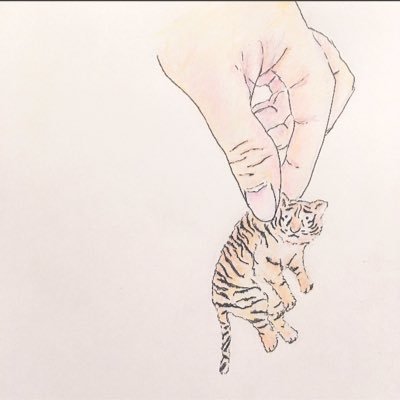 つまトラさんのプロフィール画像