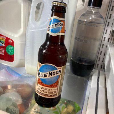 LowTimeBoTime's profile picture. one fly cat..