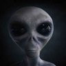 network_alien's profile picture. Welcome to Spiritual and ET Experiencers Network SEEN, the judgement-free zone for #ET, #UFO & #Spiritual #Contactees, founded by @dma_experiencer. 
#ufotwitter