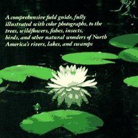 Steamy (@generationality) 's Twitter Profile Photo