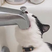 feedmeyour (@wzvrf88wviikrus) 's Twitter Profile