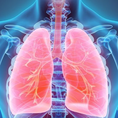 Journal of Pulmonology and Clinical Research is an international, open access, peer reviewed Journal publishing original research & review articles in all the r