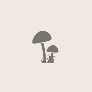 hellopsillow's profile picture. Empower your psilocybin and psychedelic experiences. Learn, share, explore.

Check out: @TheraPsil @InsideTheJar_