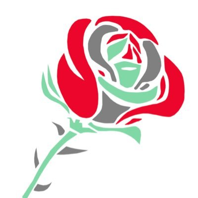Democratic Socialism 🌹 Anti Austerity, Green 🍀 New Deal, Workers Rights, Human Rights, International  Solidarity ✊️ + Giving You a Voice