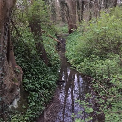 Woods and waters for the benefit of the communities of Wythenshawe, Northenden and Baguley