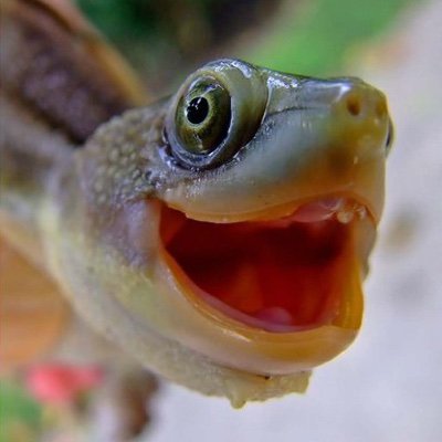 CommMentor's profile picture. Feelings are important . . . but they're not facts.