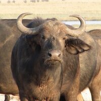 Tim Lacey (@timlaceee) 's Twitter Profile