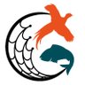 CollinsNets's profile picture. Specialist Supplier of Netting & Equipment for #GameRearing #Gamekeeping #ShootingSeason #Fisheries #FishFarm #GolfCourses #VerminControl & much more!