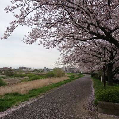 tisiie's profile picture. これからは応援人生と同時に旅を楽しみます🤗✨