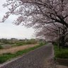 tisiie's profile picture. これからは応援人生と同時に旅を楽しみます🤗✨