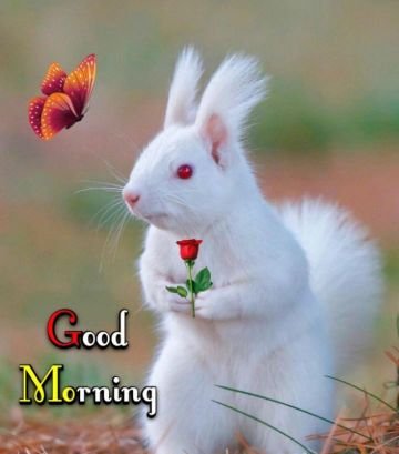 nami4equity's profile picture. Enjoy the momentum and Trend. Vivid Learner and love to experiment in chart. Follow me for learning only