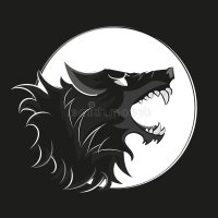Modali Crypto (@modalicrypto) 's Twitter Profile