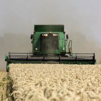 Viterra UK Ltd (@grainmanuk) 's Twitter Profile Photo