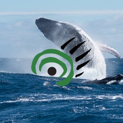 cpawsnl's profile picture. Keep Canadian Wilderness Wild 🌲🌊 Our mission is to promote the establishment and effective management of existing terrestrial and marine protected areas in NL