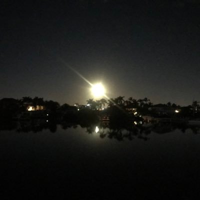 Bernie11223344's profile picture. 