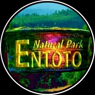 Entoto Natural Park calls for dignified responsibility within its traditionally preserved sanctuary to the most conscientiously protect this unique sanctuary