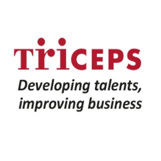 Beweegt mensen en organisaties - Consulting, Interim Management, Executive Coaching, Team Coaching, Executive Search, Outplacement, CarriĆØremarketing