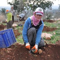 🌻Ormancı Bacı🌲🍁 (@ormancbac) Twitter profile photo