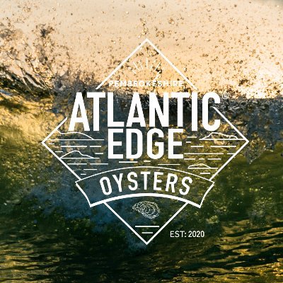 Growing the purest oysters in the wild seas of the Atlantic Edge