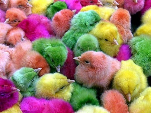 kelly1159's profile picture. 